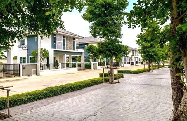 ราชพฤกษ์ ขาย-เช่าบ้านเดี่ยว 2 ชั้น 52ตร.วา.โลตัส วัดไพร่ฟ้า 2.6 กม. 205ตร.ม. 3 นอน 2 น้ำ ตลาดพูนลาภปทุม 3.6 กม  รพ.ปทุมธานี 3.8 กม.เ