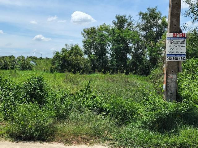 ที่ดิน - ดีลดีสุด ณ จุดนี้ ปทุมธานี   