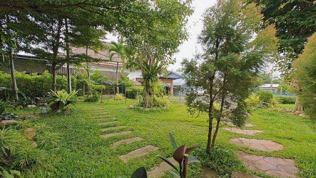 ขายที่ดิน ติดถนนหลัก เชียงใหม่ แม่ริม แม่แตง
