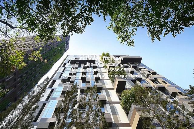 condo. ไอดีโอ มอร์ฟ 38 Ideo Morph 38 38 SQUARE METER 1ห้องนอน ใกล้กับ รถไฟฟ้า BTS ทองหล่อ คุ่มค่า เป็นคอนโดพร้อมอยู่ที่มีการตกแต่งภายในเพิ่มเติมได้แบบเรียบหรู และมีทำเลสวยสามารถมองเห็นวิวสวยงาม พร้อมพื้นที่ส่วนกลาง และสิ่งอำนวยความสะดวกครบครัน ทั้งสร