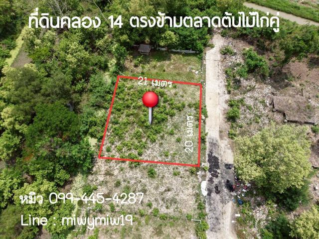 ขายที่ดิน คลอง 14 ธัญบุรี ปทุมธานี ตรงข้ามตลาดไก่คู่ 100วา ราคาถูก