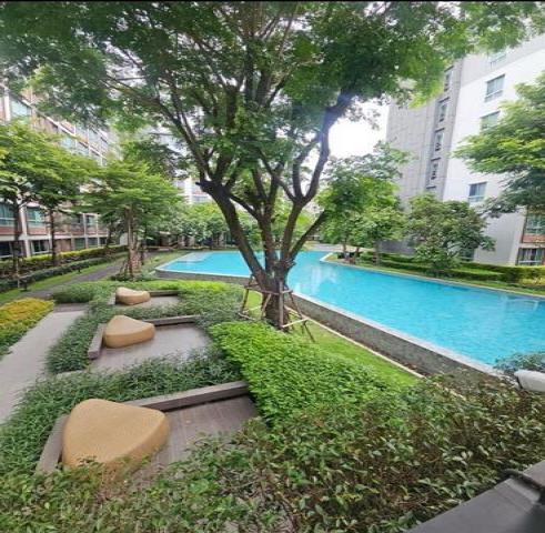 ห้องสวยให้เช่า 20,000 บาท/เดือน #ดีคอนโด #พิงค์ 37 ตรม. #วิวสระว่ายน้ำ​ ห้องสวย ตกแต่งครบ #เฟอร์นิเจอร์ครบ เซ็นทรัลเฟสติวัล เดินเพียง 5 นาที