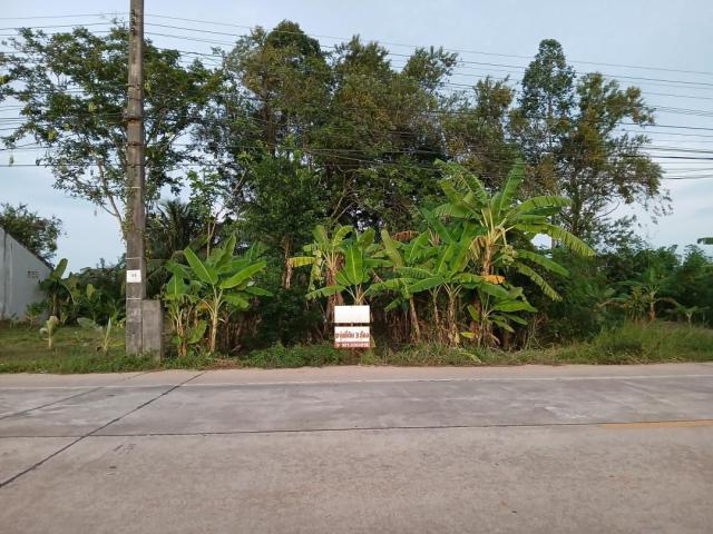 ขายให้เช่า หรือแลกเปลี่ยน ที่ดินเปล่า 3 ห้อง ติดถนนสายสะพานพร้าว  อำเภอเมืองพัทลุง จังหวัดพัทลุง