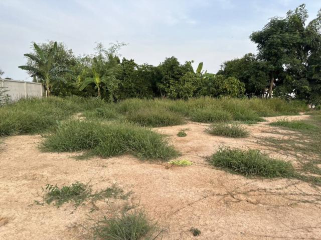 ขายที่ดินเปล่า ทำเลทอง  อำเภอเมือง จังหวัดพิษณุโลก