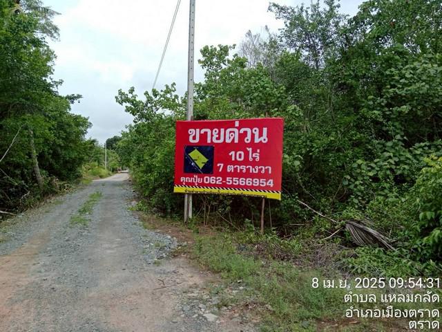 ขายที่ตราด ที่เปล่าแหลมกลัด ใกล้ทะเลติดคลองสน โฉนดปลอดภาระ ใกล้หาดมุกแก้ว