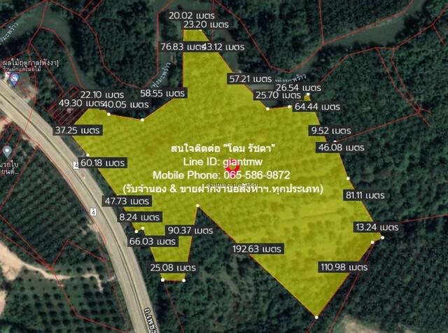 ที่ดิน ที่ดิน ทุ่งมะพร้าว อ.ท้ายเหมือง จ.พังงา 14623 ตารางวา 91396250 thb ใกล้กับ ท่าเรือทับละมุ 12.7 กม. (ไปเกาะสิมิลัน และเกาะสุรินทร์) ทำเลคุณภาพ พังงา   