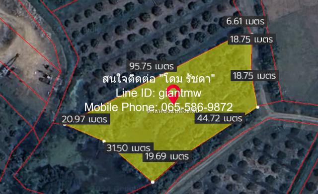 ID :  DSL-362 ขายด่วน ๆ ที่ดิน ขายที่ดินสวนลำไย ต.ขุนดง อ.หางดง จ.เชียงใหม่ (น.ส.4 จ) ถูกสุด