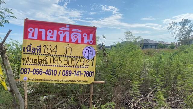 ขายที่ดินบางแก้ว ราคาถูก 192 ตารางวา   ใกล้เมกะบางนา  สวยพร้อมพัฒนา   ZTK277