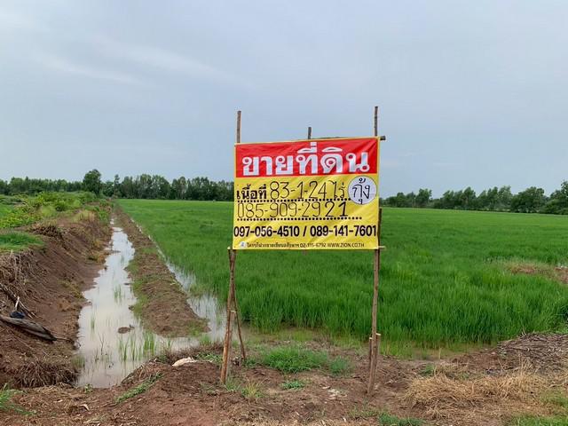 ขายที่ดินผืนใหญ่ 83 ไร่ 1 งาน 24 ตร.ว.  ท่างาม   ทำเลดี ใกล้ตัวเมืองปราจีนบุรี 