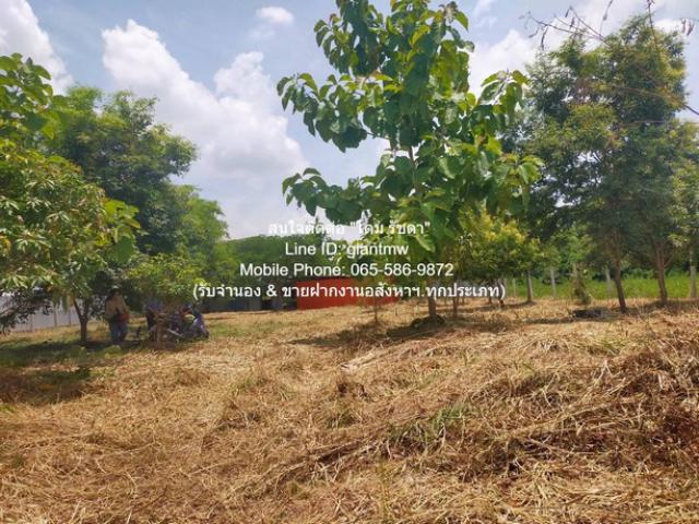 ID :  DSL-709 ขายด่วน ที่ดิน ขายที่ดินเปล่า 1-0-14.5 ไร่ (414.5 ตร.ว.) ซ.สุวินทวงศ์ ใกล้สนามกอล์ฟฟินิกซ์ โกลด์ กอล์ฟ แบงค็อก  area 15 SQ.WA 0 NGAN 1 RAI 4500000 thb ไม่ไกลจาก ใกล้สนามกอล์ฟฟินิกซ์ โกลด์ กอล์ฟ แบงค็อก (Phoenix Gold Golf Bangkok) คุ้มยิ